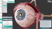 Get Sharecare YOU Steam Key GLOBAL