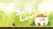 Redeem Sally's Law