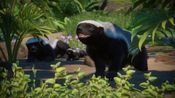 Redeem Planet Zoo: Asia Animal Pack (DLC) Steam Key (PC) GLOBAL