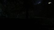 The Secret of Pineview Forest