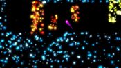 Will Glow the Wisp for sale