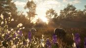theHunter: Call of the Wild - Mississippi Acres Preserve (DLC) (PC) Steam Key GLOBAL