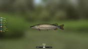 Trophy Fishing 2 for sale