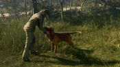 Redeem theHunter: Call of the Wild™ - Weapons and Companions Bundle (DLC) XBOX LIVE Key UNITED STATES