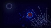 Microcosmum: Survival of Cells Steam Key GLOBAL