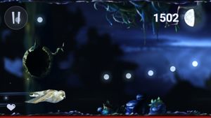 Owl's Midnight Journey