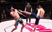 Ultimate MMA (PC) Steam Key GLOBAL