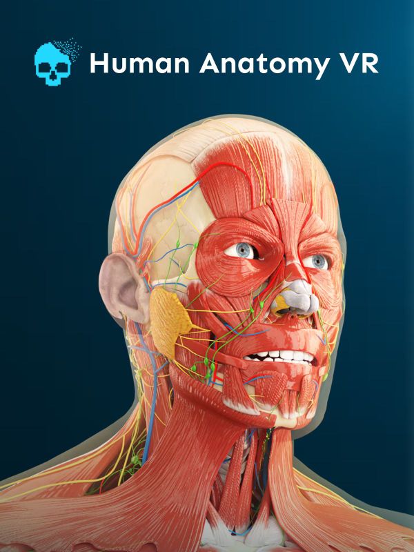 Human Anatomy VR on PSN free — Snakzy shows you how