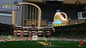 TableTop Cricket