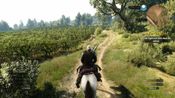 Buy The Witcher 3: Hearts of Stone (DLC) XBOX LIVE Key UNITED STATES