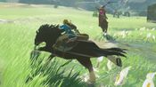 The Legend of Zelda: Breath of the Wild Nintendo Switch