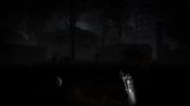 Get The Brookhaven Experiment