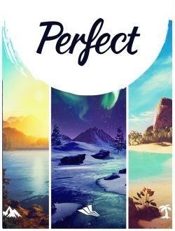 Perfect (PC) Steam Key GLOBAL