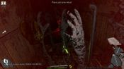 Golden Light Steam Key GLOBAL