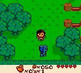 Get Quest for Camelot Game Boy Color