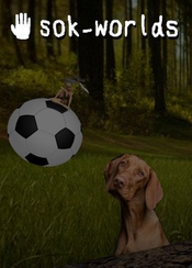 sok-worlds (PC) Steam Key GLOBAL