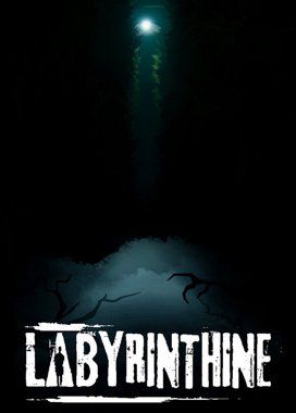 Labyrinthine game cover