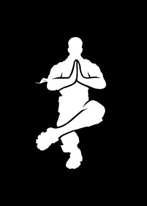 Fortnite - Shaolin Sit-up Emote (DLC) Epic Games Key GLOBAL