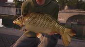 Buy Fishing Sim World: Pro Tour + Quad Lake Pass XBOX LIVE Key ARGENTINA
