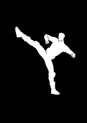 Fortnite - Training Forms Emote (DLC) Epic Games Key GLOBAL