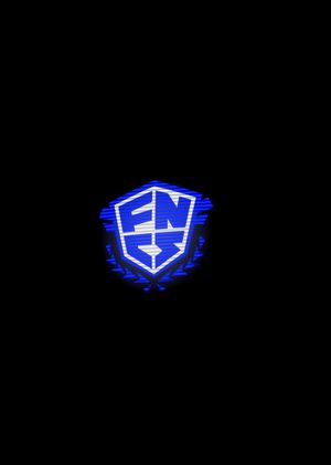 Fortnite - Winner's Mark Back Bling (DLC) Epic Games Key GLOBAL