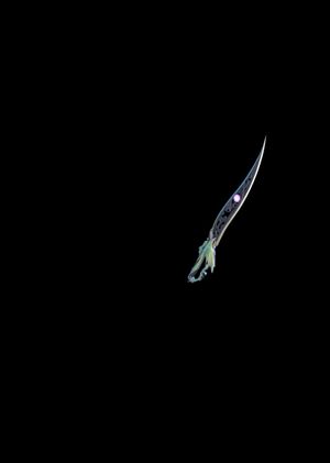 Fortnite - Black Talon Pickaxe (DLC) Epic Games Key GLOBAL