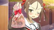 Buy Yuki Yuna wa Yusha de Aru: Jukai no Kioku