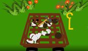 Buy Aarre Safari Ride