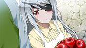 Infinite Stratos 2: Love and Purge