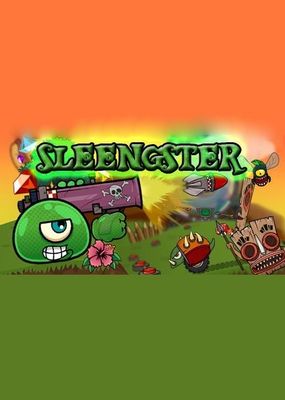 Sleengster Cover