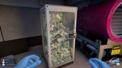 Get Cash Cleaner Simulator Steam Key (PC) EUROPE