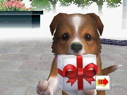 Nintendogs: Chihuahua & Friends Nintendo DS