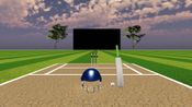 JUST BAT (VR CRICKET) for sale