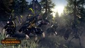 Total War: WARHAMMER – The Grim and the Grave (DLC) Steam Key (PC) GLOBAL for sale