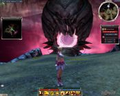 Guild Wars Nightfall Official Website Key NORTH AMERICA for sale