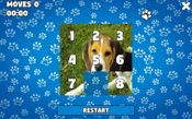 CatDog Puzzle (PC) Steam Key GLOBAL for sale