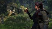 Redeem Kingdom Come: Deliverance II Brushes with Death (DLC) Steam Key (PC) GLOBAL