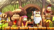 Donkey Kong Country: Tropical Freeze for the Switch for sale