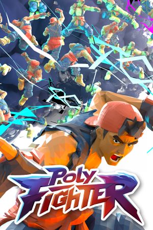 Poly Fighter Steam Key (PC) GLOBAL