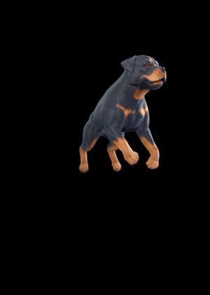Fortnite - EsDeeKid's Canine Sidekick (DLC) Epic Games Key GLOBAL