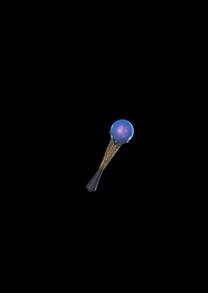 Fortnite - Gungan Atlatl Pickaxe (DLC) Epic Games Key GLOBAL