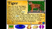 Let's Explore The Jungle (Junior Field Trips) for sale
