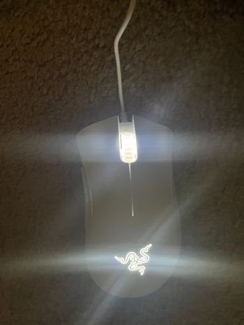 Buy Razer Deathadder Essential White Edition