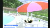 Summer Heat Beach Volleyball PlayStation 2
