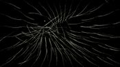 Borealis (PC) Steam Key GLOBAL