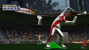 TableTop Cricket for sale