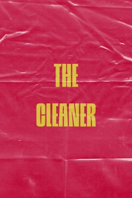 The Cleaner game cover