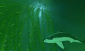 Redeem ABZÛ