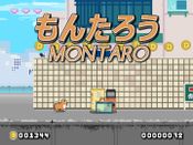 Buy Montaro