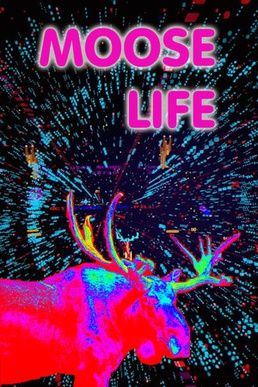 Moose Life game cover